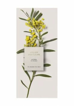 Chloé Atelier Des Fleurs Herba Mimosa, Eau De Parfum 50ml -premium-duefte Verkäufe unnamed file 1089