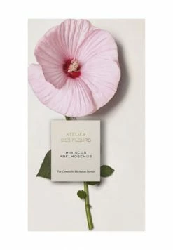 Chloé Atelier Des Fleurs Hibiscus Abelmoschus, Eau De Parfum 50ml -premium-duefte Verkäufe unnamed file 1102
