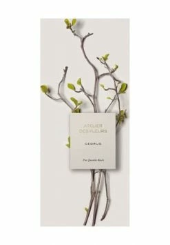Chloé Atelier Des Fleurs Cedrus, Eau De Parfum 50ml -premium-duefte Verkäufe unnamed file 1109