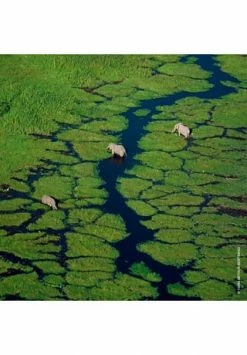 GUERLAIN AQUA ALLEGORIA 125ml -premium-duefte Verkäufe unnamed file 139