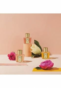 ACQUA DI PARMA Magnolia Nobile, Eau De Parfum 100ml -premium-duefte Verkäufe unnamed file 185