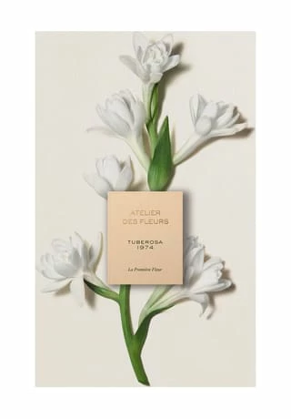 Chloé Atelier Des Fleurs Tuberosa 1974, Eau De Parfum 150ml 6 Chloé Atelier Des Fleurs Tuberosa 1974, Eau De Parfum 150ml – Bild 6