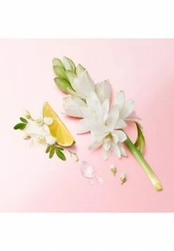 ARMANI MY WAY 150ml -premium-duefte Verkäufe unnamed file 385