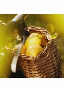 Maison Margiela REPLICA 30ml 7 Maison Margiela REPLICA 30ml -premium-duefte Verkäufe unnamed file 426