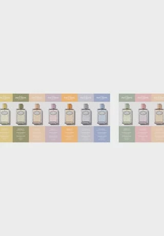 PRADA LES INFUSIONS 100ml 3 PRADA LES INFUSIONS 100ml – Bild 3