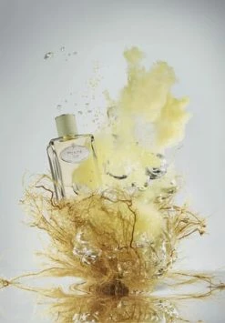 PRADA LES INFUSIONS 100ml 20 PRADA LES INFUSIONS 100ml -premium-duefte Verkäufe unnamed file 593