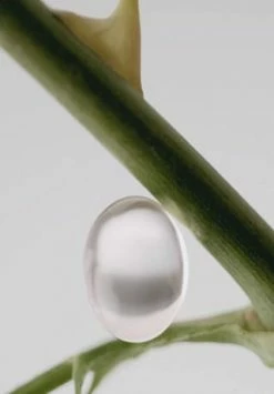 ISSEY MIYAKE L'Eau D'Issey Rose&Rose, Eau De Parfum Intense 25ml -premium-duefte Verkäufe unnamed file 911